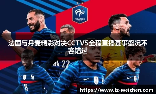 法国与丹麦精彩对决CCTV5全程直播赛事盛况不容错过