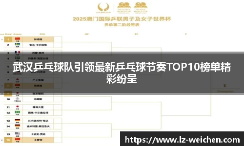 武汉乒乓球队引领最新乒乓球节奏TOP10榜单精彩纷呈